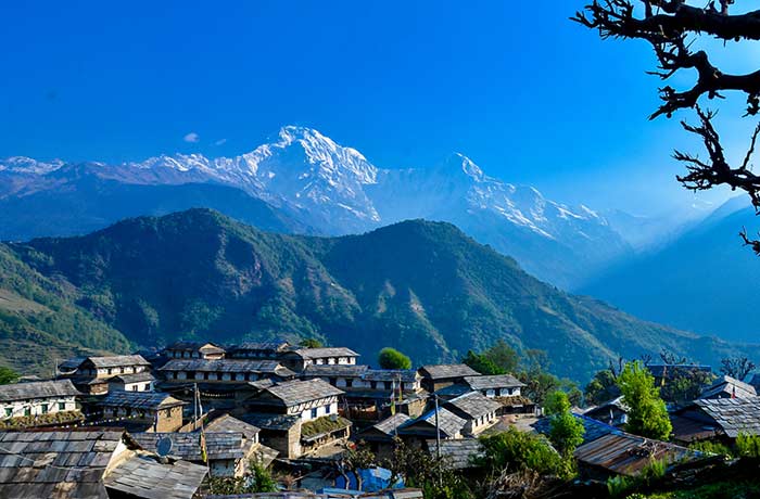 Tadapani → Ghandruk → Drive to Pokhara