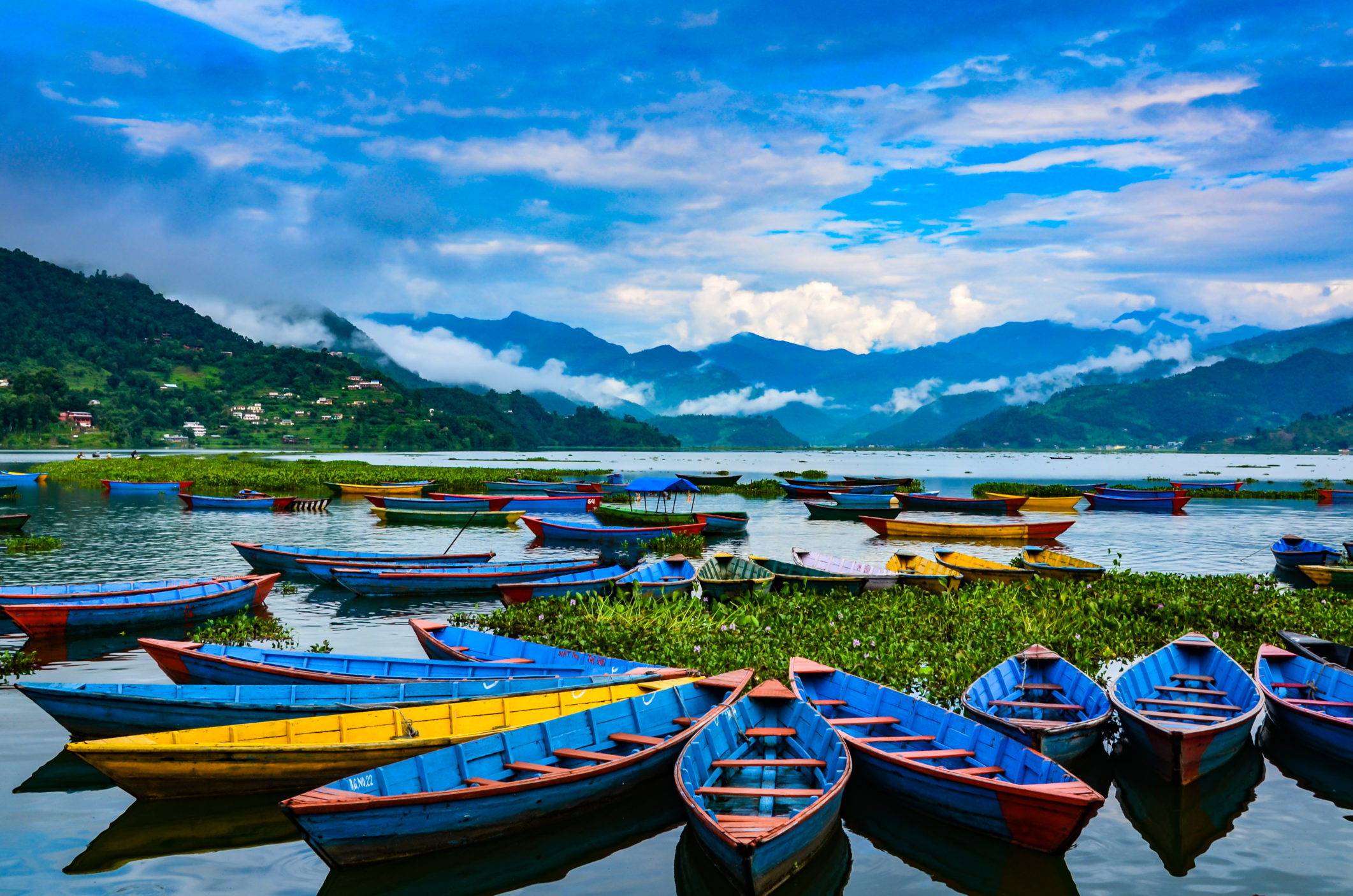 Pokhara → Banthanti (Drive) → Trek to Ghorepani