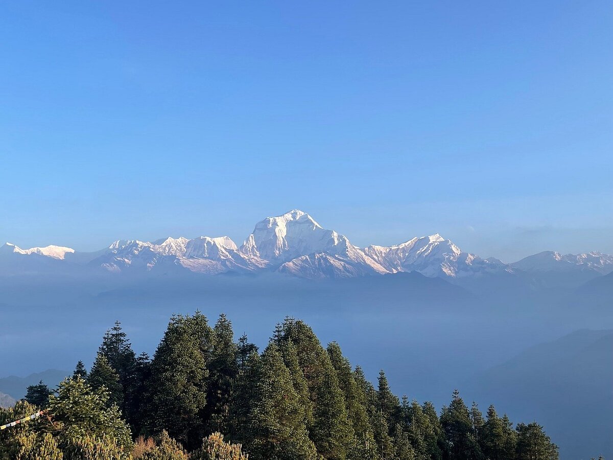View From Poonhill (Dhaulagiri)