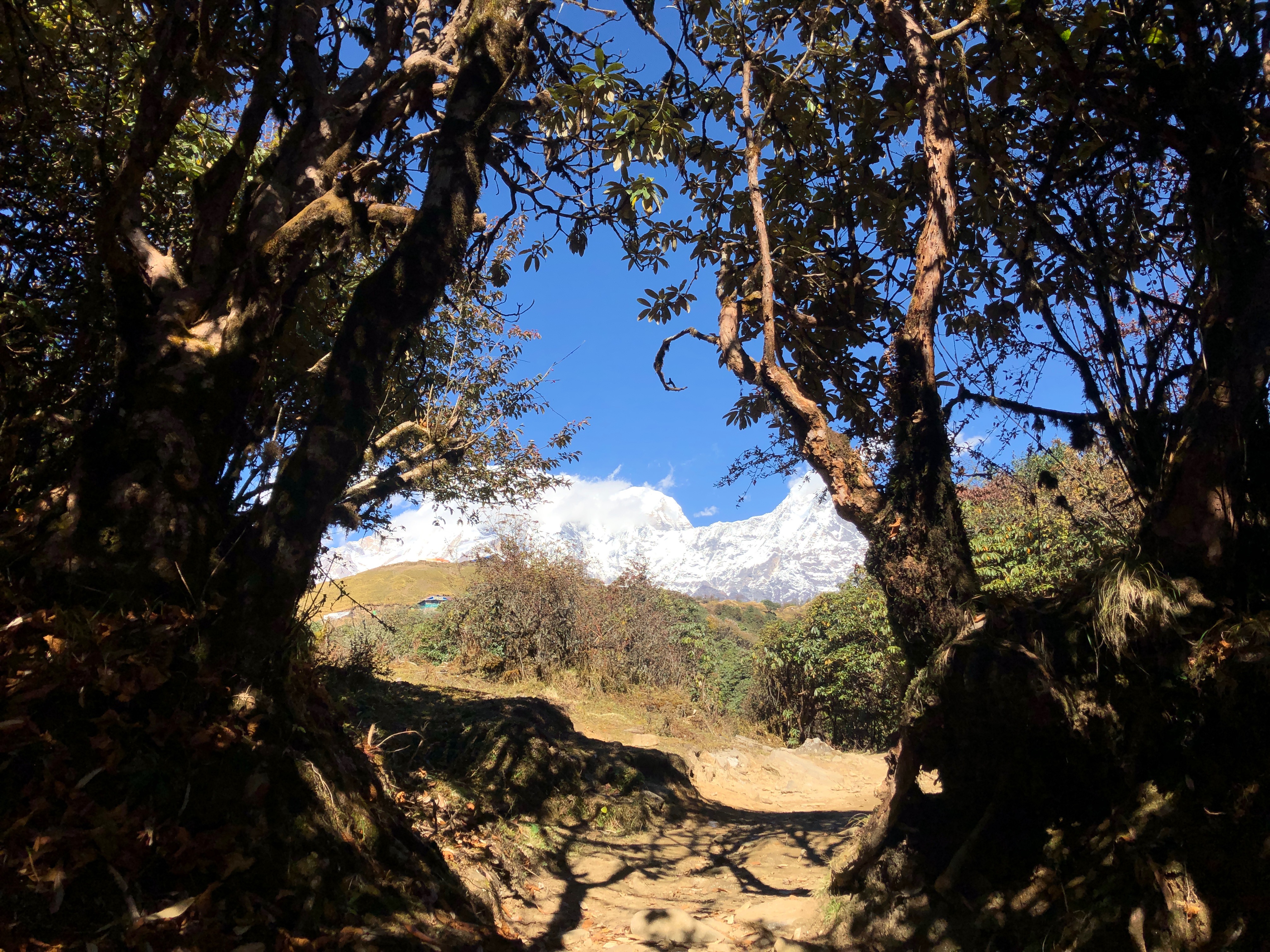 Mardi Base Camp Trek