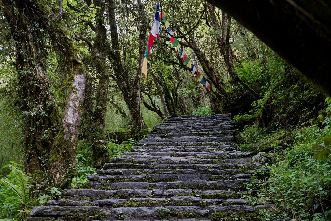 Annaourna Base Camp Trail to Himalaya