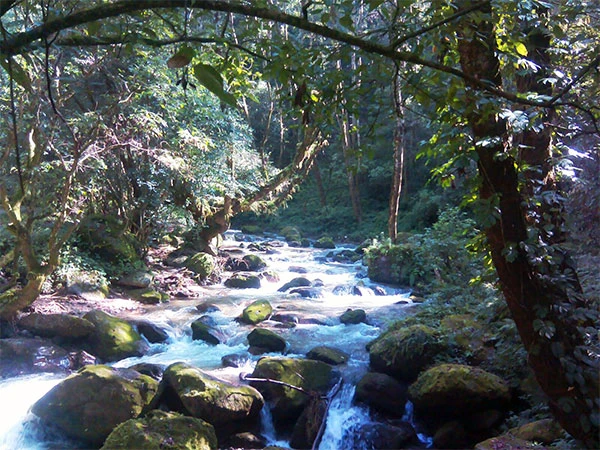 Shivapuri Day Hiking - 1 Day